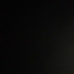 Meet your Posher, Ava